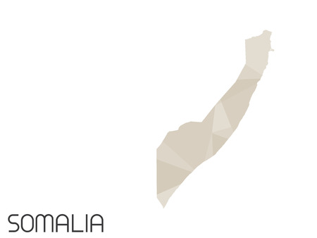 A Set of Infographic Elements for the Country of Somaliaの写真素材