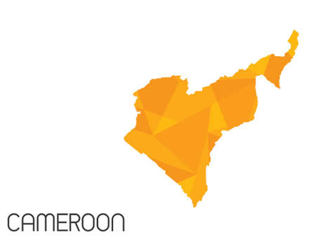 A Set of Infographic Elements for the Country of Cameroonの写真素材