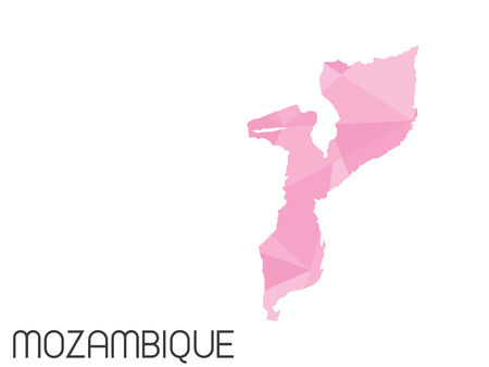 A Set of Infographic Elements for the Country of Mozambiqueの写真素材
