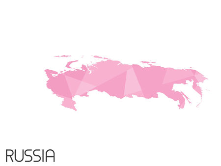 A Set of Infographic Elements for the Country of Russiaの写真素材