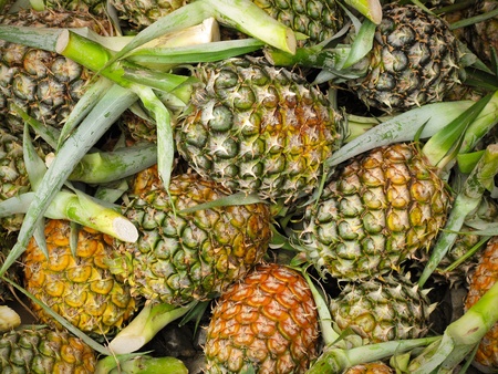 Fresh pineapples, freshly cut from the plant at a market in Borneo の写真素材