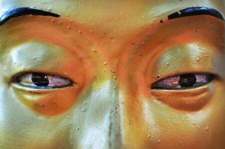 Closeup of golden Buddha statue at the Ten Thousand Buddhas Monastery, Hong Kongの写真素材