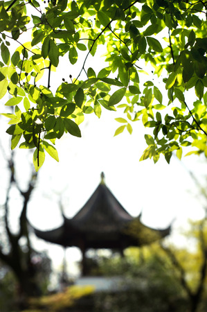 Pavilion in the Garden of the Humble Administrator, Suzhou, Chinaの写真素材