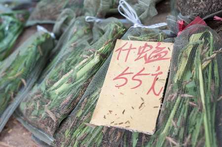 Bagged grasshoppers on sale at Yuen Po Bird Market, Mong Kok, Hong Kongの写真素材