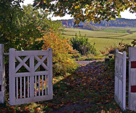 white gate with a viewの写真素材