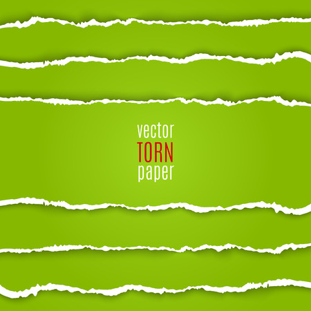 Vector illustration green torn paper. Template backgroundのイラスト素材
