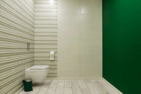 Bathroom in a modern minimalism desing style