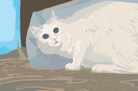 scared cat white catのイラスト素材
