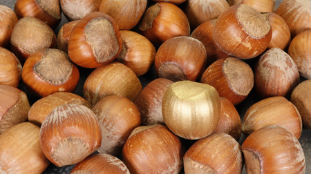 One golden hazelnut among many normal brown nuts. Zero infected. Symbolic for a talented worker, the...