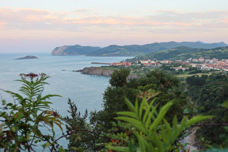A scenic view of Bermeo in Basque Country, Spain. Framed by trees, the sunset creates pink hues in the sky, while green hills and cliffs border the azure waters of the ocean.の写真素材