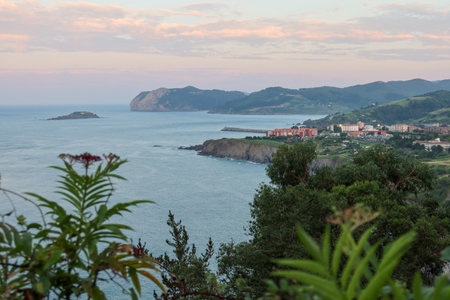 A scenic view of Bermeo in Basque Country, Spain. Framed by trees, the sunset creates pink hues in the sky, while green hills and cliffs border the azure waters of the ocean.の写真素材