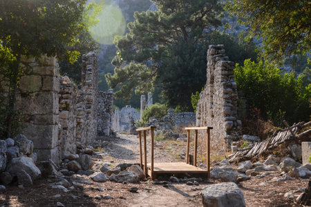 Ancient Ruins of Olympos Turkey Surrounded by Nature on a Serene Path with Historic Stone Wallsの写真素材