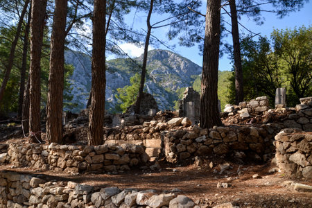Ancient Stone Ruins Surrounded by Tall Pine Trees with a Mountainous Backdrop in Olympos, Turkeyの写真素材