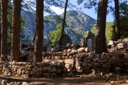 Stone Ruins of Olympos, Turkey, Framed by Tall Pines with a Mountainous Landscape in the Backgroundの写真素材
