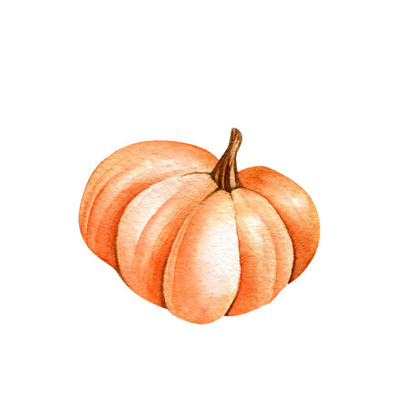 Clipart. Hand drawn orange pumpkin isolated on white background. watercolor illustration. Poster, postcard, vegetables.の写真素材