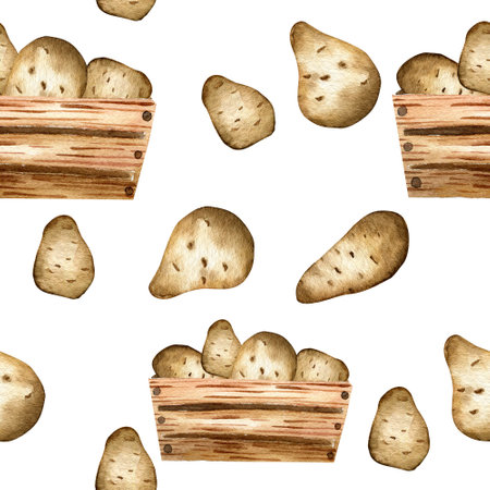 Seamless watercolor pattern. hand drawn vegetables. Potatoes and wooden box with potatoes isolated on white background. Design for wrapping paper, backgrounds.の写真素材