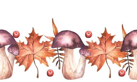 Seamless watercolor border. Hand-drawn maple leaves, wild mushrooms, red berries. Autumn leaves, leaf fall.の写真素材