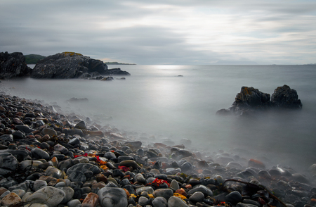 Rocky coastline near Arisaig with red alga, Highlands, Scotlandの写真素材