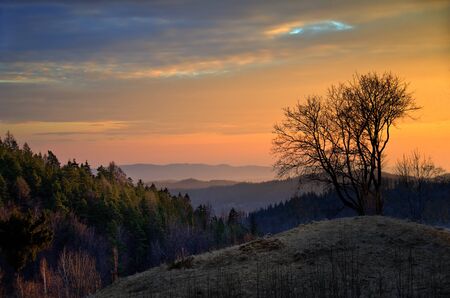 Sunrise at Sudety mountains and trees, Poland