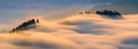 Fog in Pieniny mountains in sunrise light, Polandの写真素材