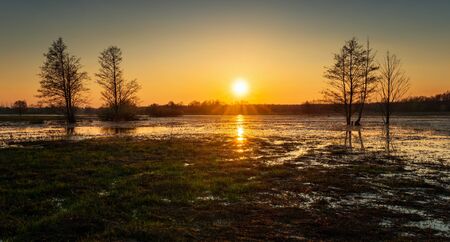 Trees on Bug river flooding in sunset light, Polandの写真素材