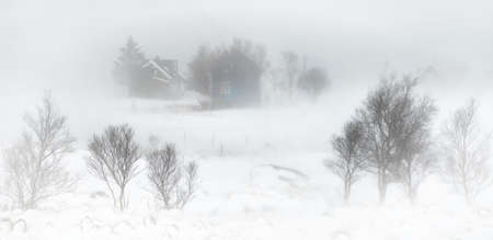 Three cabins in snowstorm in Kilan village on Flakstadoya Island, Lofoten, Norwayの写真素材