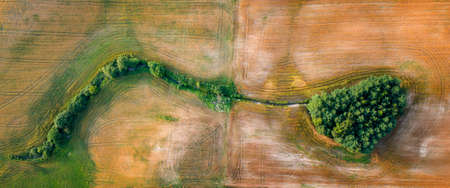 Lonely women in the snowy foggy alley in Krkonose Mountains, Ceska Republikaの写真素材