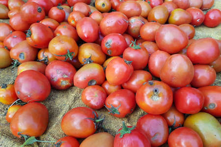 Kebalen Market, Malang, Indonesia- July 1, 2021 : lots of fresh tomatoes at the marketの写真素材