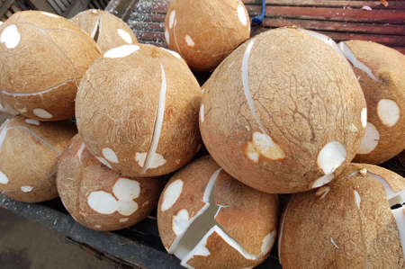 lots of coconutの写真素材