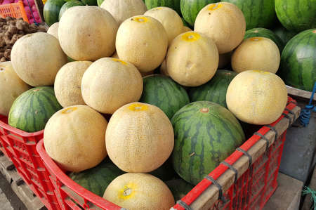 lots of water melon in a basketの写真素材