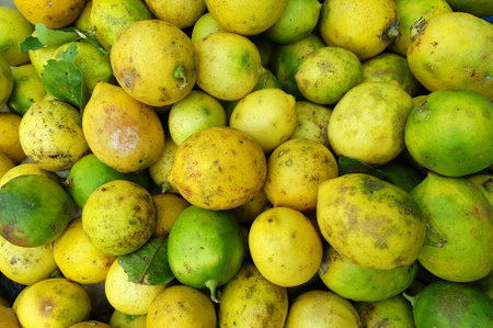 Malang, Indonesia - July 1, 2021 :
Lot's of lemons in the marketの写真素材
