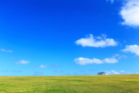 beautiful green field with clear blue skyの写真素材