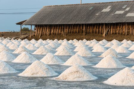 Salt pile with wooden basket in salt farmの写真素材