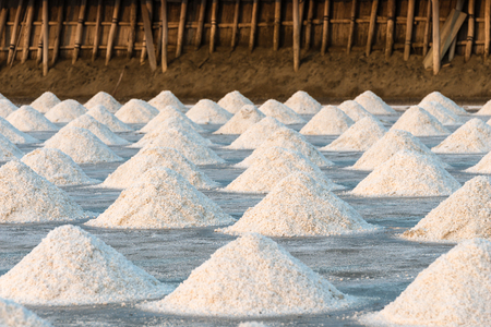 Salt pile in Salt farm, Food industry backgroundの写真素材
