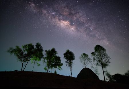 Milky way, night sky with trees and tent on hill ni Krabi, Thailand.の写真素材