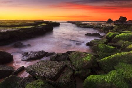 Beautiful seasscape at sunset with green seaweed rock at Turimetta Beach, Australiaの写真素材
