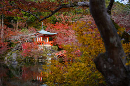 Daigo-ji temple with colorful maple in autumn, Kyoto, Japanのeditorial素材