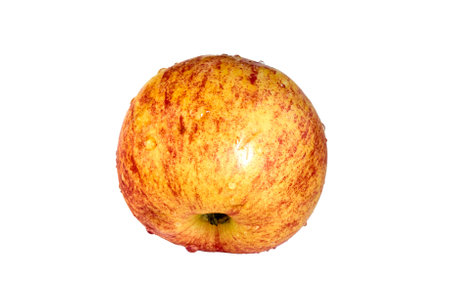 Red apple with waterdrops on white backgroundの写真素材