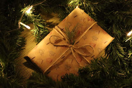 craft present with  pine plants