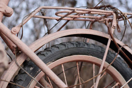 pink bike in an abandoned old park