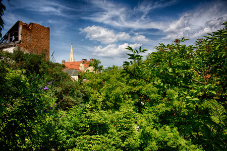 The forest of Bratislava hidden behind the city wallの写真素材