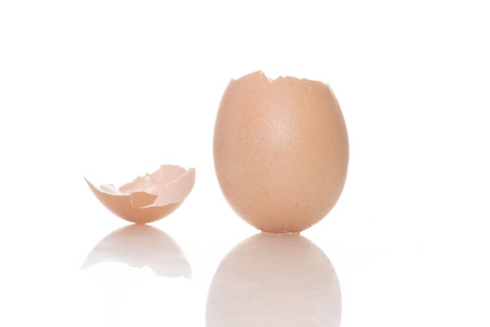 Empty broken brown egg shell standing upright on a white background with a reflection and copyspace