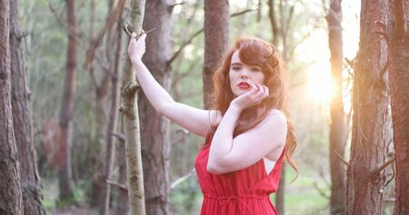 stylish Woman in red Dress Posing at the Woods , sunsetの写真素材