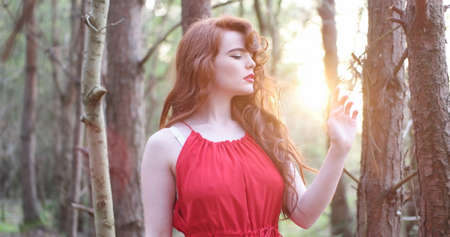 stylish Woman in red Dress Posing at the Woods , sunsetの写真素材