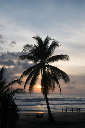 Palm tree and silhouettes of people walking on the beach during beautiful sunset. Summer conceptの写真素材