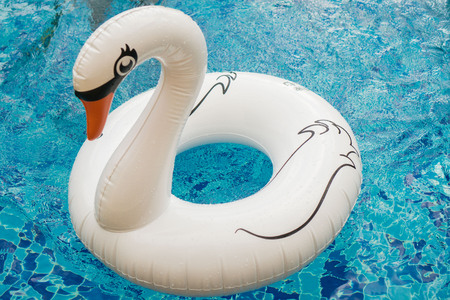 Inflatable white swan float in the outdoor swimming poolの写真素材