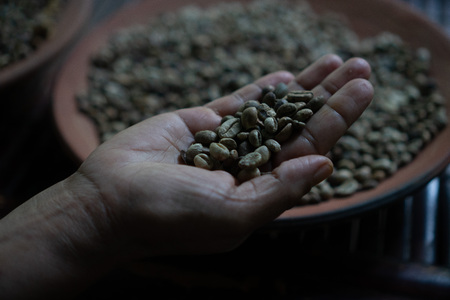 Cropped closeup shot of female hand holding raw Luwak coffee over clay plate with other coffee beans backgroundの写真素材