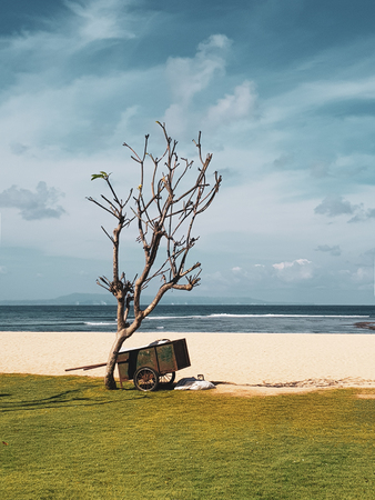 Wheelbarrow on the sandy beach near the tree over blue sea and summer sky backgroundの写真素材