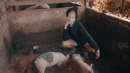Beautiful fashion girl feeding piglets and posing in small dirty pig farm. Portrait of stylish hipster femaleの写真素材