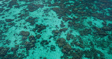 Aerial drone top view of the crystal clear lagoon sea water surface with coral reefの写真素材